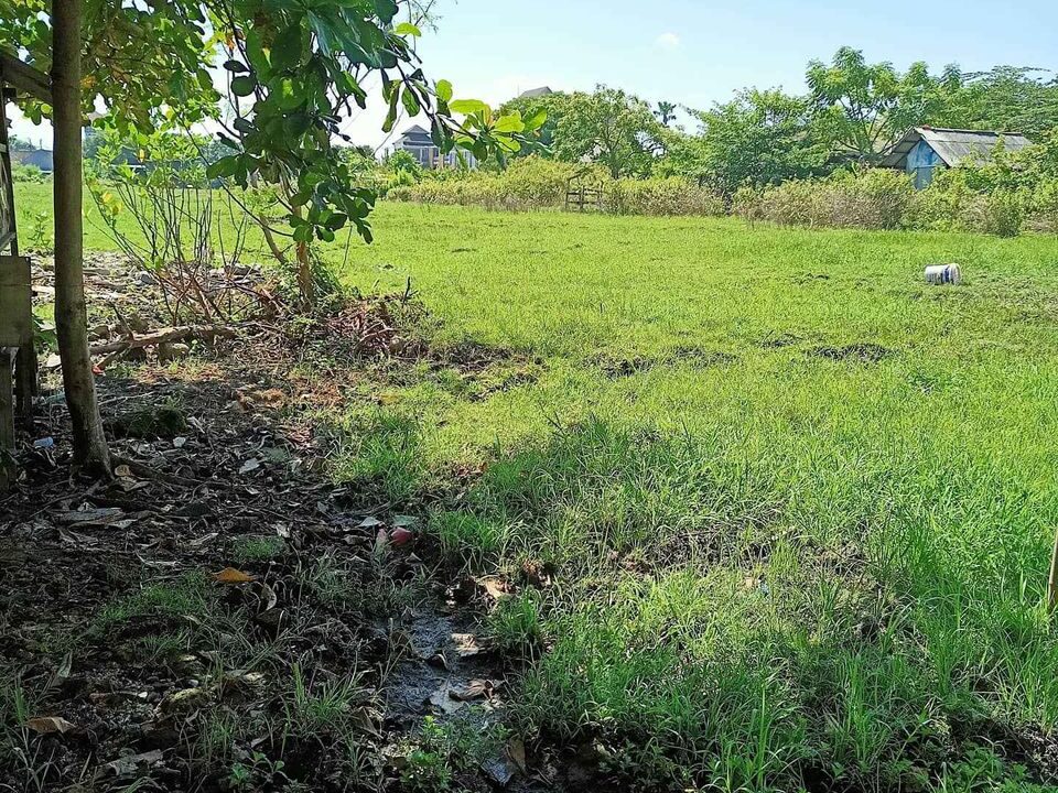 160004781_3980292535325204_9078109204904217375_o