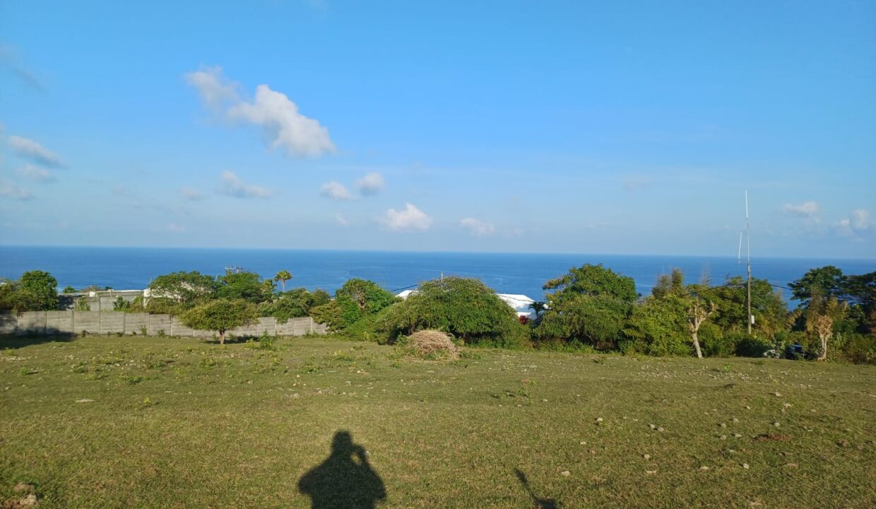 LF 124 (3)