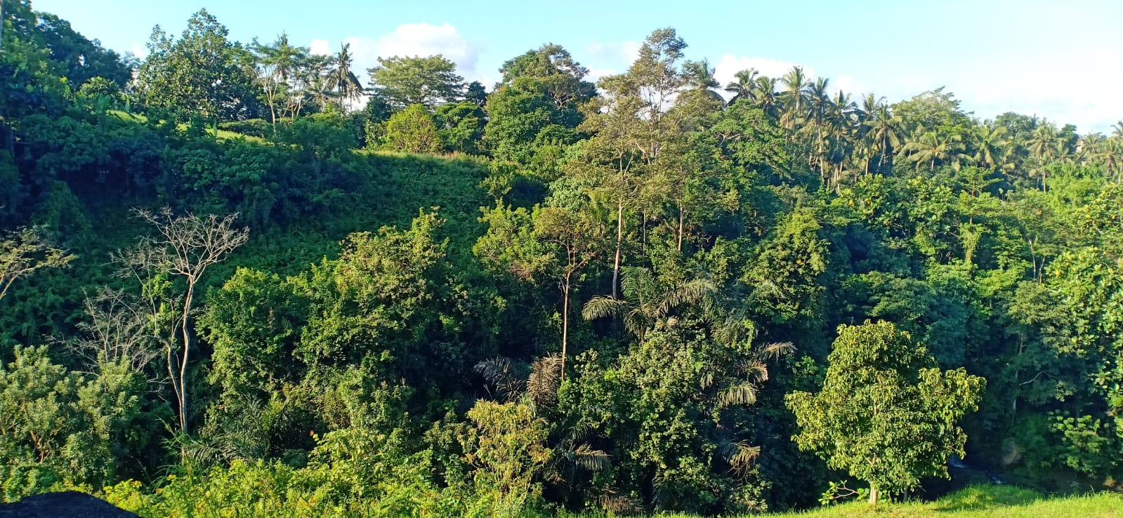 Land For Lease stunning location with jungle and river view