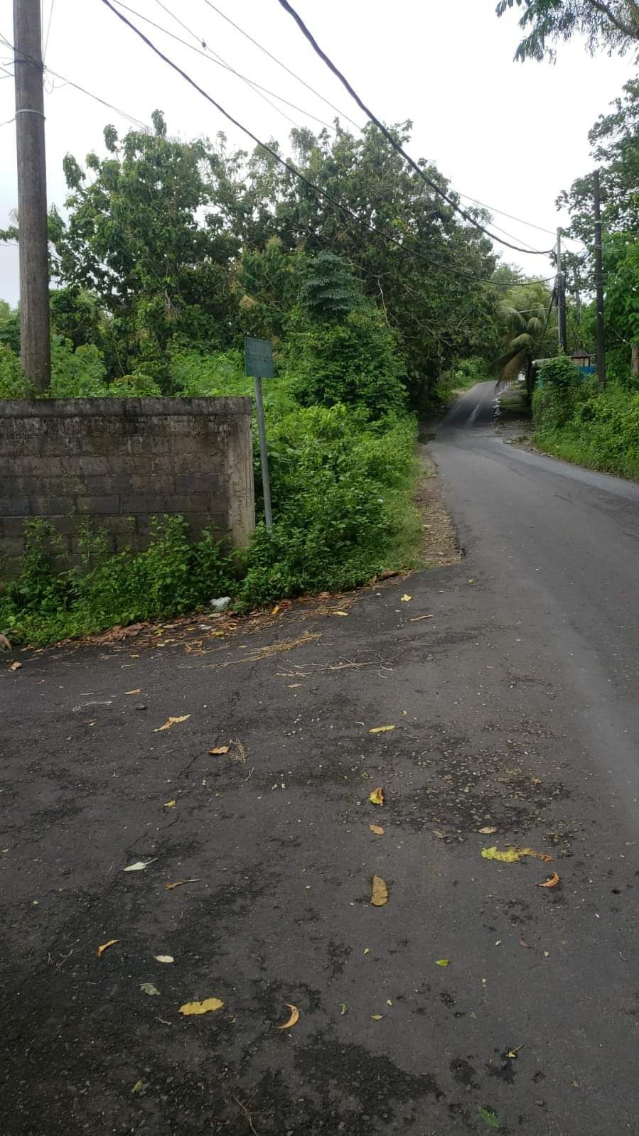 Private Land for Sale or Lease in Belimbingsari, Pecatu Bali