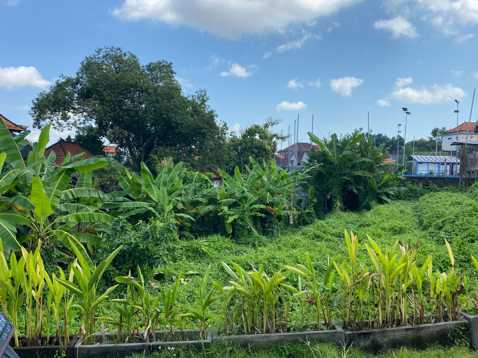 Land for Lease in Padonan, Canggu
