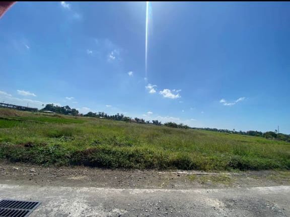 Leasehold Land in Kedungu, Bali