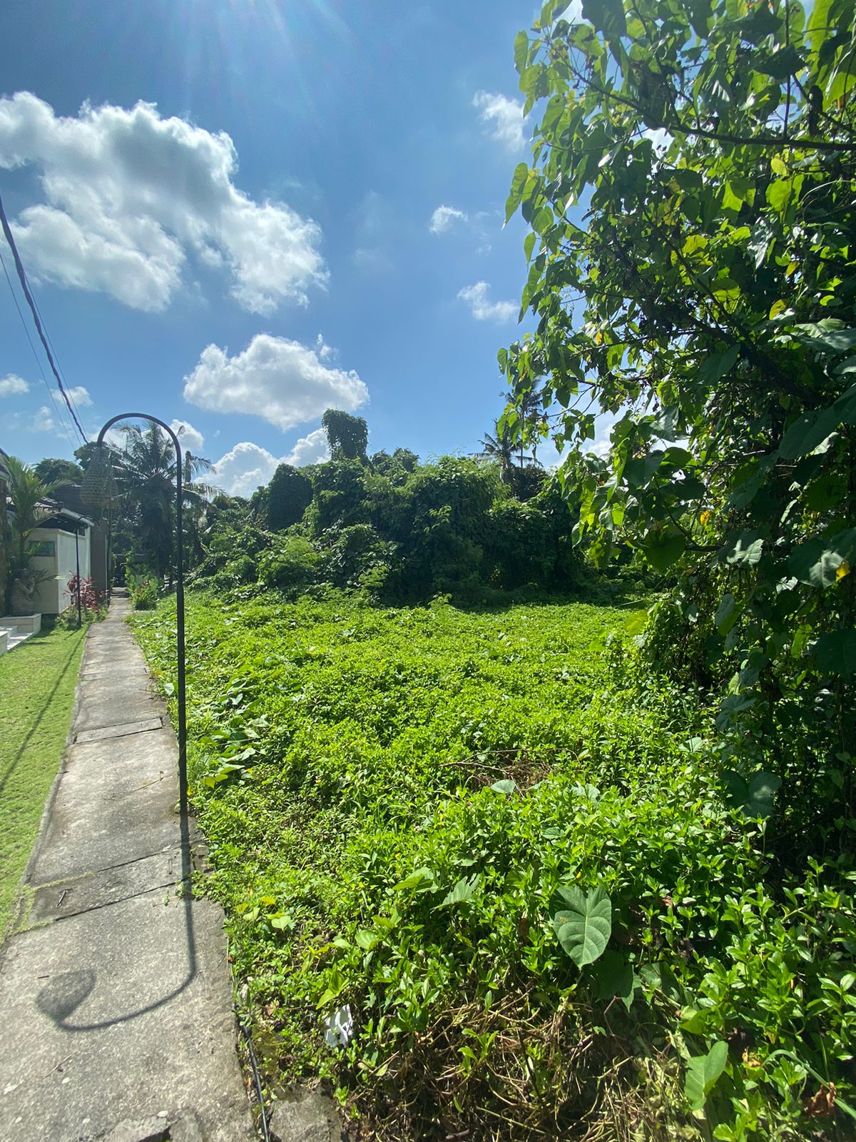 Land for Lease – Jungle, River & Rice Field View in Tirta Tawar, Ubud