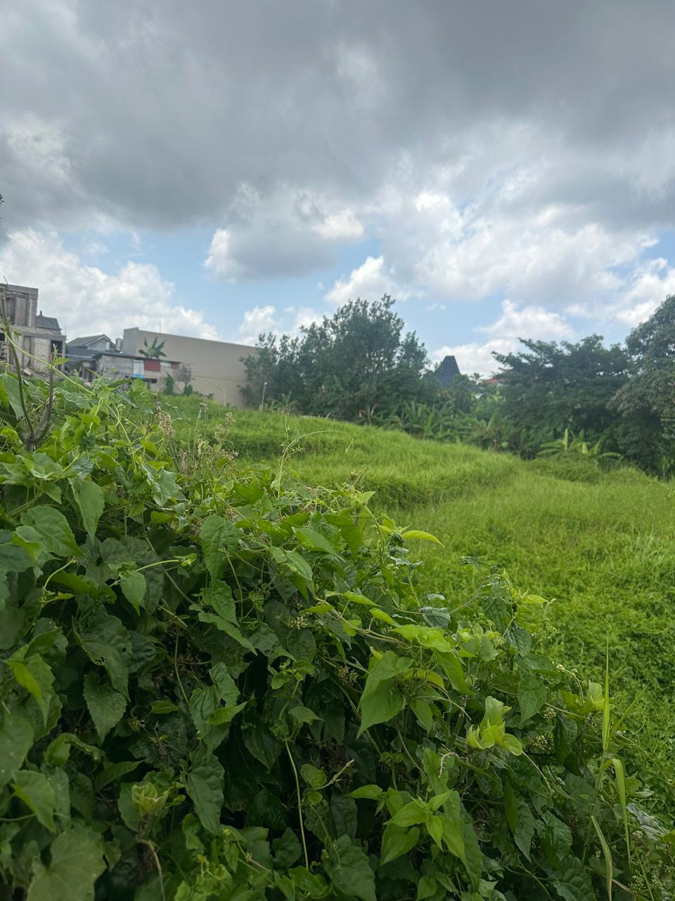 Land for Leasehold in Canggu, Bali