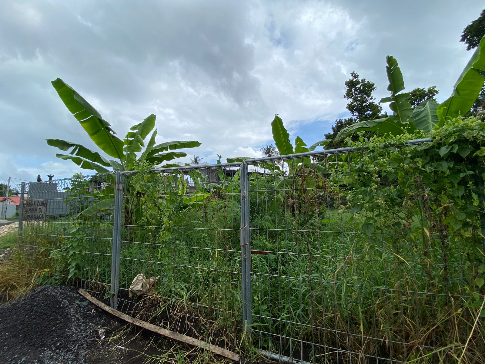 Freehold Land for Sale in Tumbak Bayuh, Near Canggu