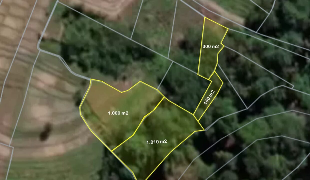 LF 178 (2)