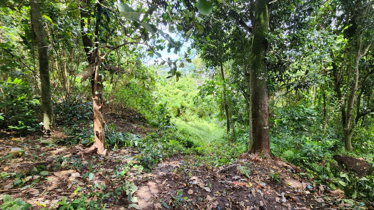 LAND FOR SALE IN LOS SUNGAI, BUWIT, TABANAN, BALI