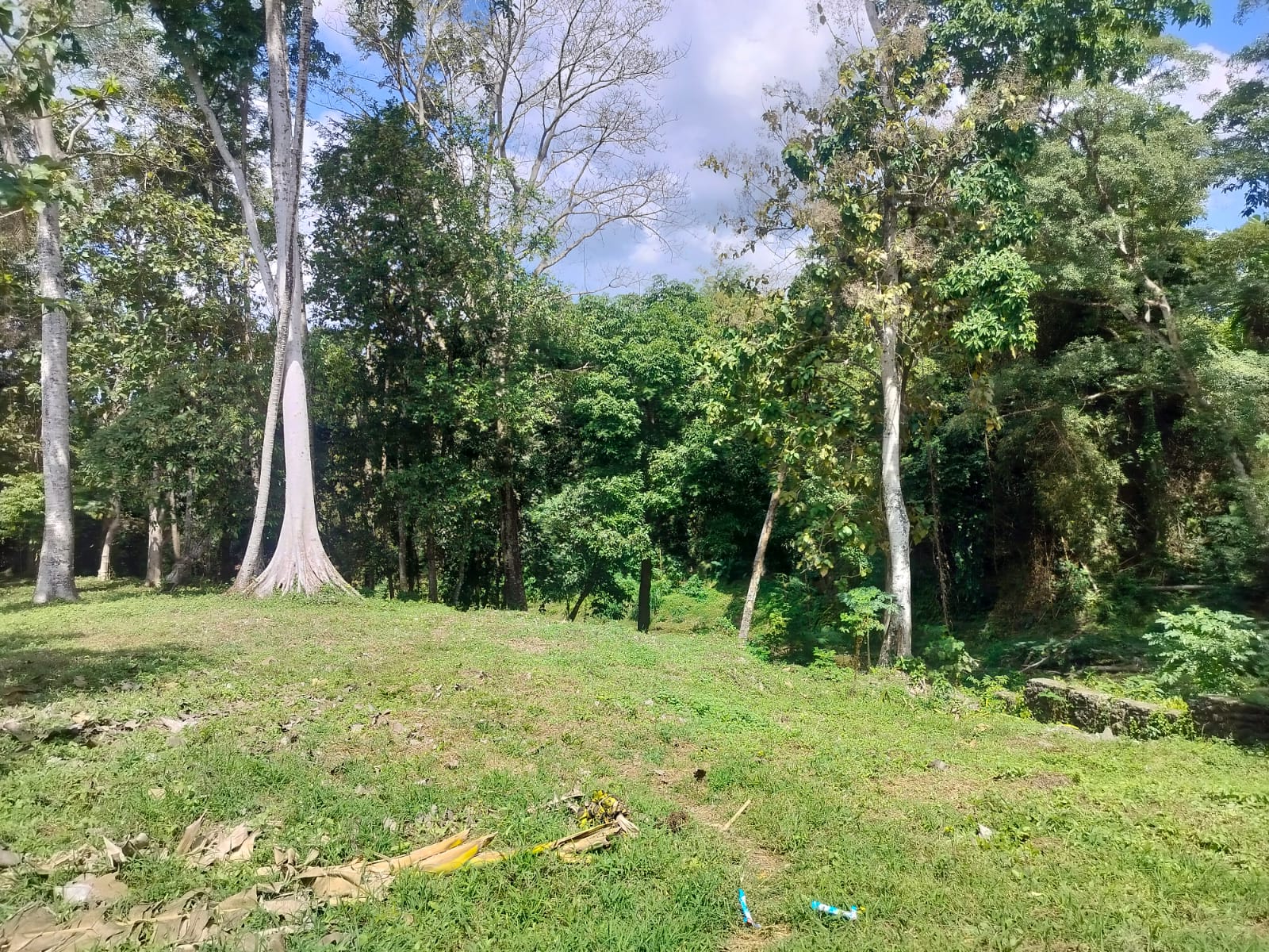 An extraordinary real estate opportunity in south-west Bali! Perched on a sloping terrain in Cepaka, north of Tumbak Bayuh, this stunning plot offers the serene feel of Ubud while being just minutes away from Bali’s vibrant coastal hubs.