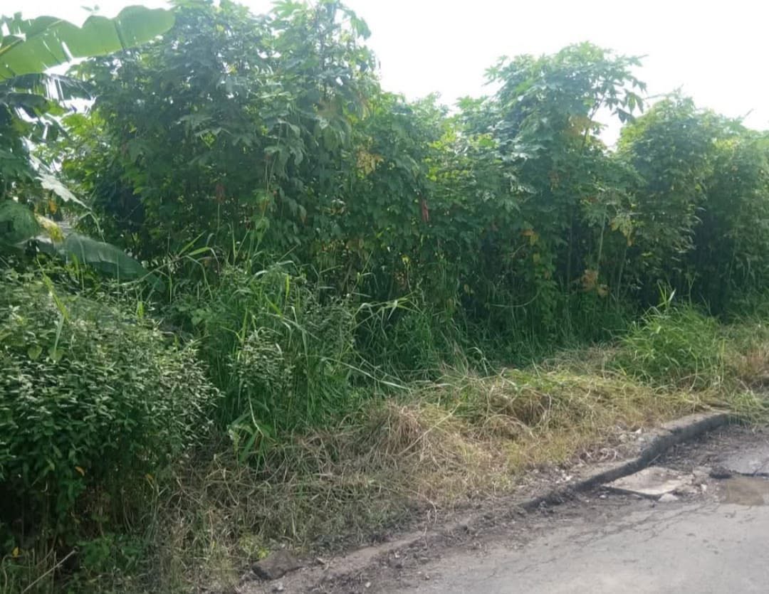 Prime Freehold Land for Sale in Central Batu Bolong, Canggu – 600m to the Beach (CODE LF 186)